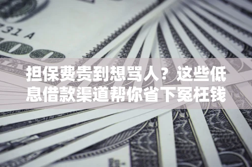 济南担保费贵到想骂人？这些低息借款渠道帮你省下冤枉钱