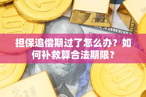 济南担保追偿期过了怎么办？如何补救算合法期限？