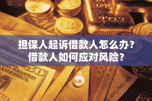 济南担保人起诉借款人怎么办？借款人如何应对风险？